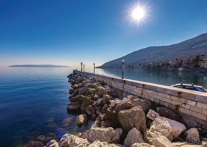 Great View Montage Pool Intact Nature 1600m2 Lovran